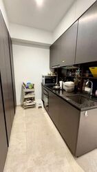Daintree Residence (D21), Condominium #627423331